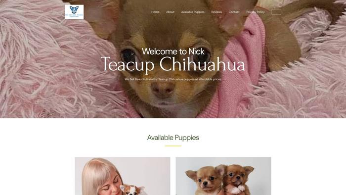 Nickchihuaparadise.com - Chihuahua Puppy Scam Review