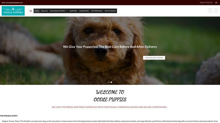 Oodlepuppies.com - Poodle Puppy Scam Review