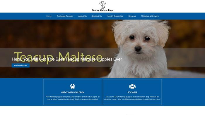 Paradiseteacupmaltesepups.com - Maltese Puppy Scam Review