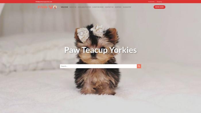 Pawteacupyorkies.com - Yorkshire Terrier Puppy Scam Review