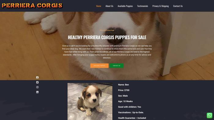 Perrieracorgis.com - Corgi Puppy Scam Review