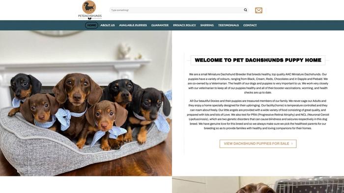 Petdachshunds.com - Dachshund Puppy Scam Review