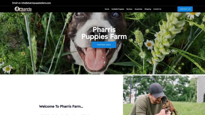 Pharrispuppiesfarm.com - French Bulldog Puppy Scam Review