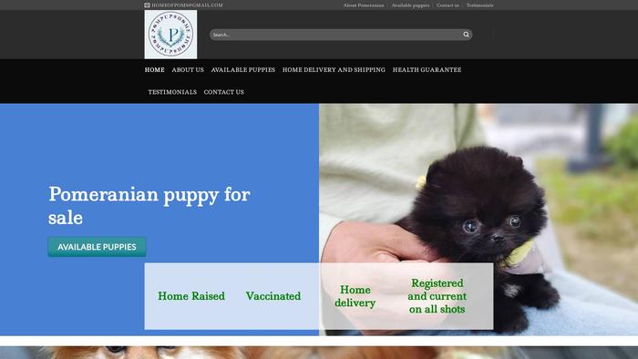 Pompupshome.com - Pomeranian Puppy Scam Review