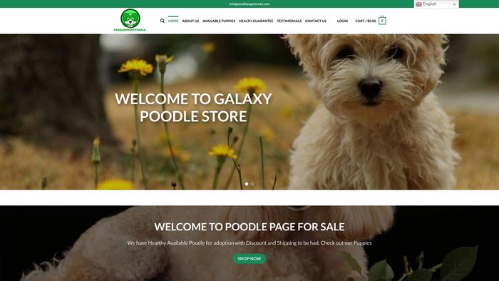 Poodlepageforsale.com - Poodle Puppy Scam Review