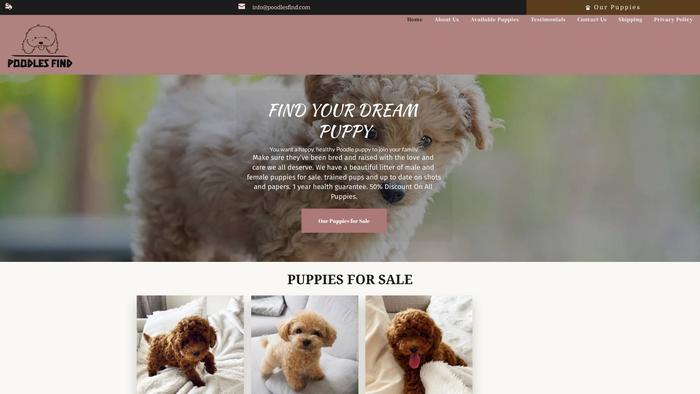 Poodlespots.com - Poodle Puppy Scam Review