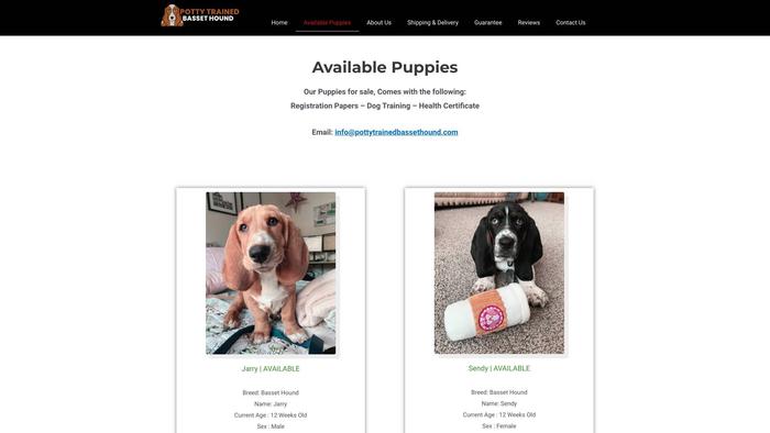 Pottytrainedbassethound.com - Bassethound Puppy Scam Review