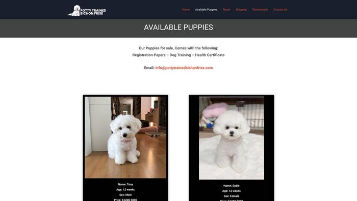 Pottytrainedbichonfrise.com - Bichon Frise Puppy Scam Review