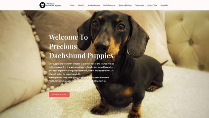 Preciousdachshundpuppies.com - Dachshund Puppy Scam Review