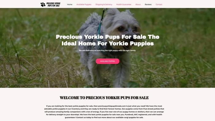 Preciousyorkiepupsforsale.com - Yorkshire Terrier Puppy Scam Review