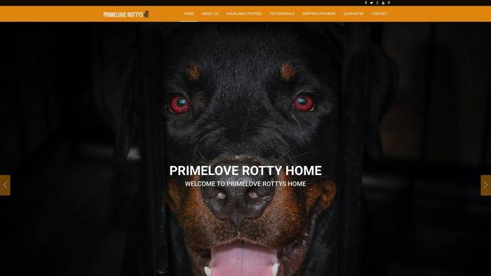 Primeloverottys.com - Rottweiler Puppy Scam Review