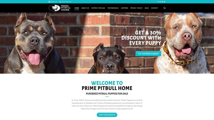 Primepitbullhome.com - Pit Bull Puppy Scam Review