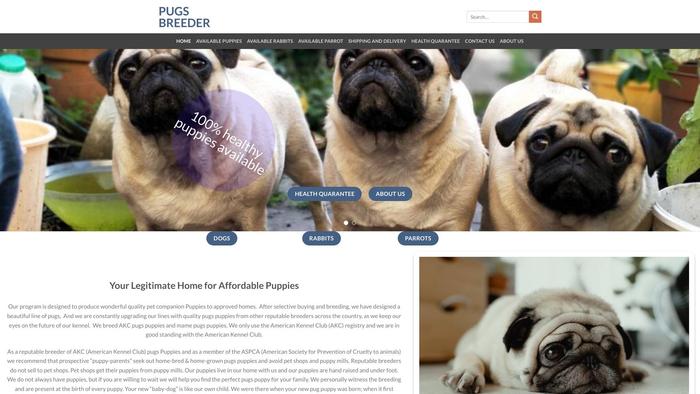 Pugsbreeder.com - Pug Puppy Scam Review