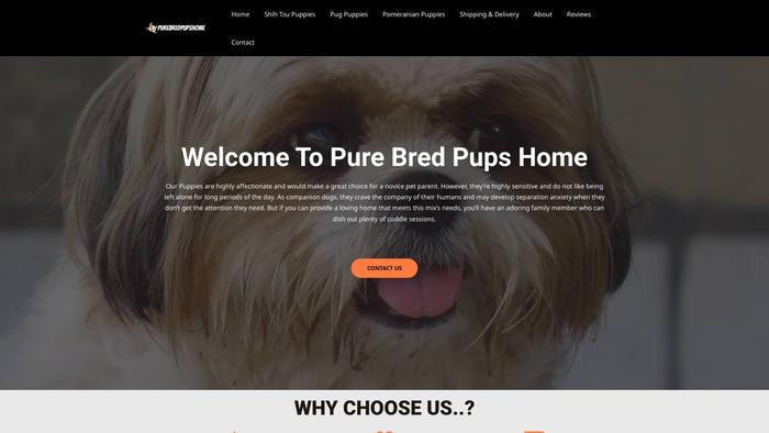 Purebredpupshome.com - Pomeranian Puppy Scam Review