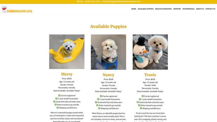 Purebreedmaltesecastle.com - Maltese Puppy Scam Review