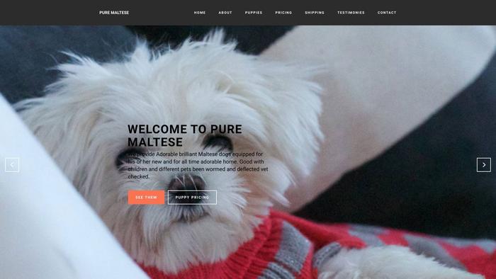 Puremaltese.com - Maltese Puppy Scam Review