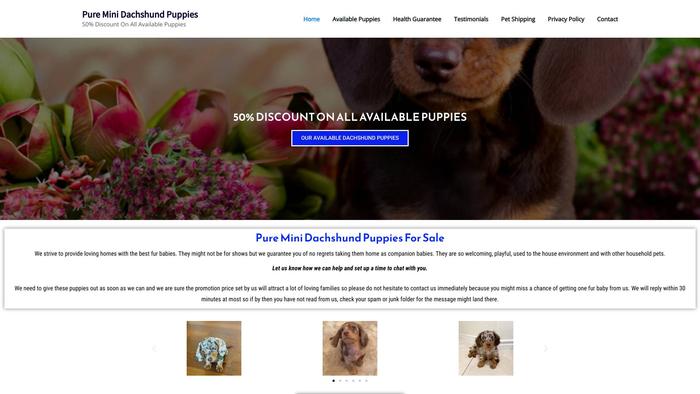 Pureminidachshundpups.com - Dachshund Puppy Scam Review