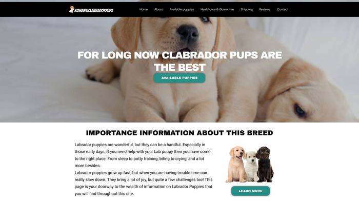 Romanticlabradorpups.com - Labrador Puppy Scam Review