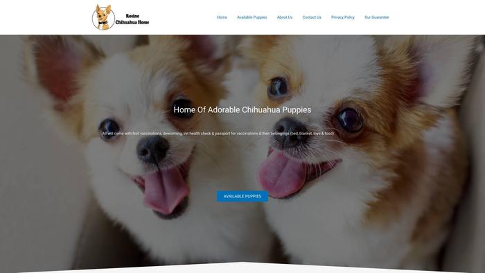 Rosinechihuahuahome.com - Chihuahua Puppy Scam Review