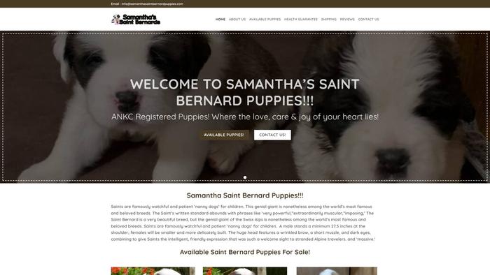 Samanthasaintbernardpuppies.com - Saint Bernard Puppy Scam Review