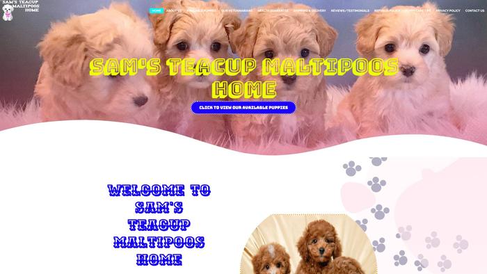 Samsteacupmaltipooshome.us - Maltipoo Puppy Scam Review