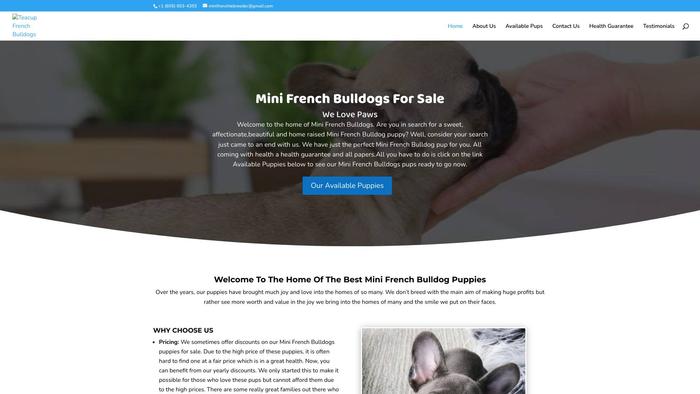 Sdminifrenchbullies.com - French Bulldog Puppy Scam Review