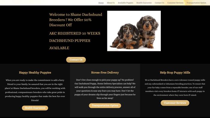 Shanedachshundbreeders.com - Dachshund Puppy Scam Review