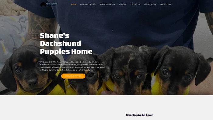 Shanesdachshundpuppies.com - Dachshund Puppy Scam Review