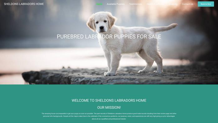 Sheldonslabradorshome.com - Labrador Puppy Scam Review