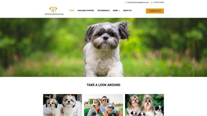 Shihtzuforhomes.online - Shihtzu Puppy Scam Review