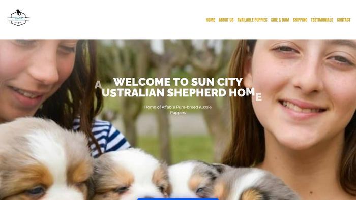 Suncityqualityaussies.com - Australian Shepherd Puppy Scam Review