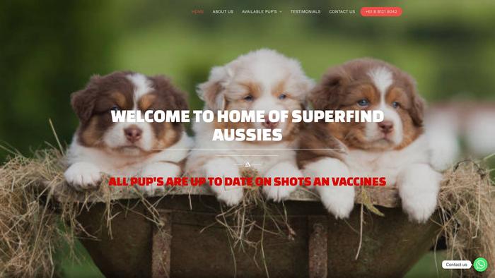 Superfinde-aussies.com - Australian Shepherd Puppy Scam Review