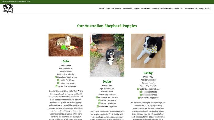 Susyaussiepuppies.com - Australian Shepherd Puppy Scam Review