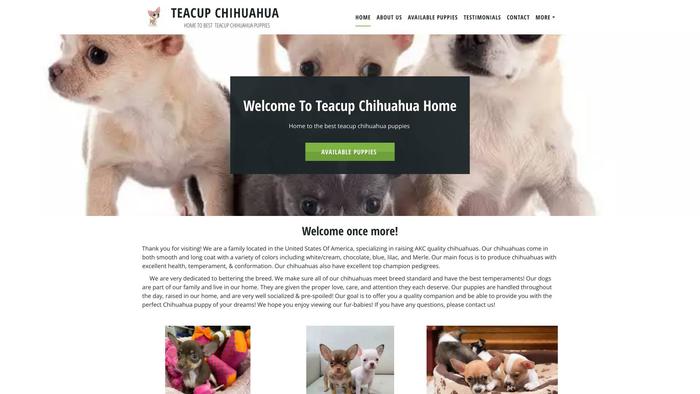 Teacupchihuahuahouse.com - Chihuahua Puppy Scam Review