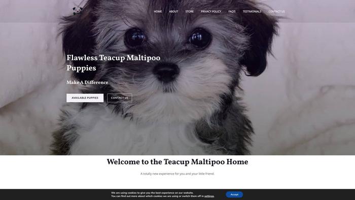 Teacupmaltipoohome.com - Maltipoo Puppy Scam Review