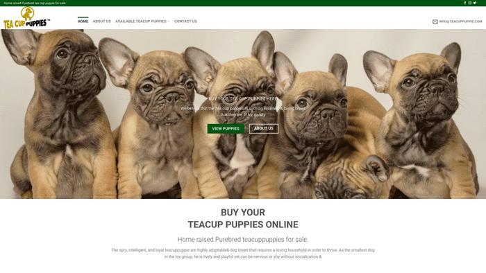 Teacuppuppie.com - Yorkshire Terrier Puppy Scam Review