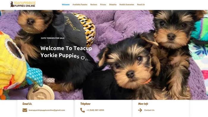 Teacupyorkiepuppiesonline.com - Yorkshire Terrier Puppy Scam Review