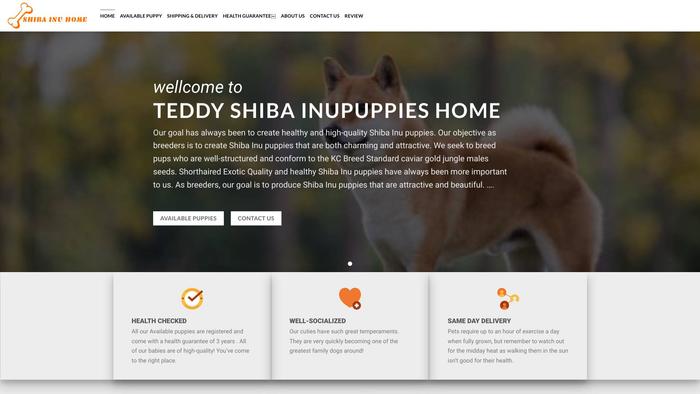 Teddyshibainupuppies.com - Shibhainu Puppy Scam Review