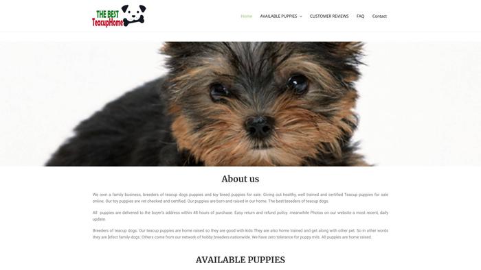 Thebestteacuphome.com - Yorkshire Terrier Puppy Scam Review