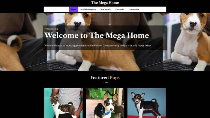 Themegahome1.store - Havanese Puppy Scam Review