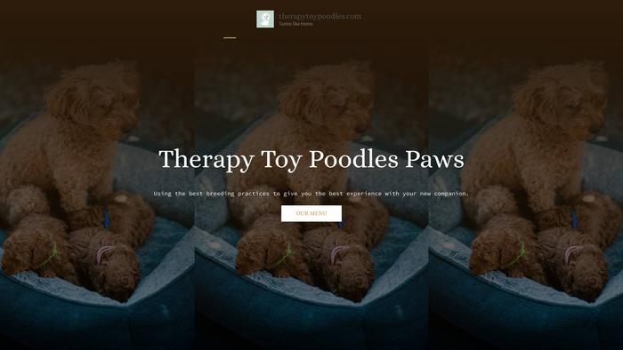 Therapytoypoodlespawsau.com - Poodle Puppy Scam Review