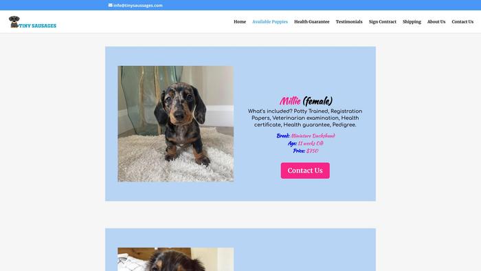 Tinysaussages.com - Dachshund Puppy Scam Review