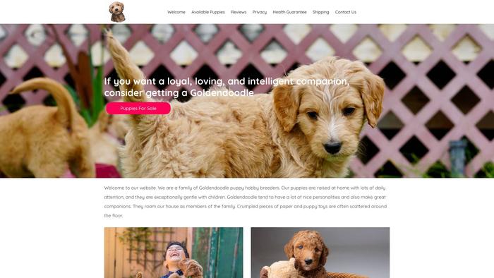 Tonigoldendoodleshome.com - Golden Doodle Puppy Scam Review