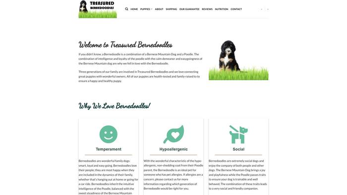 Treasuredbernedoodles.com - Bernedoodle Puppy Scam Review