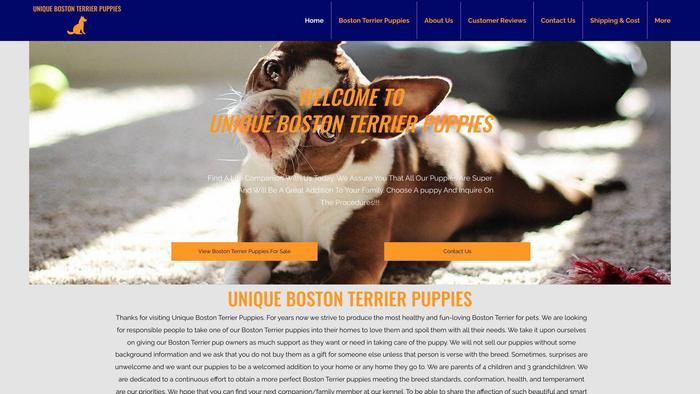 Uniquebostonterrierpuppies.com - Terrier Puppy Scam Review