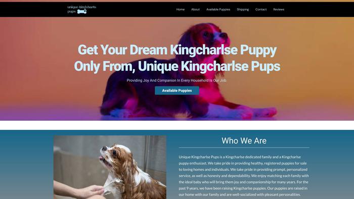 Uniquekingcharlsepups.com - Cavalier King Charles Spaniel Puppy Scam Review