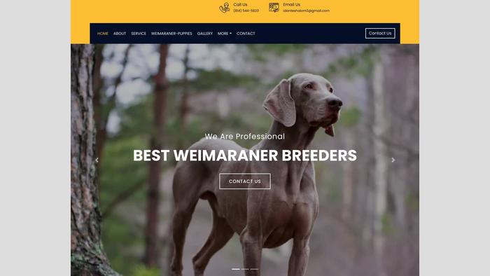 Willsonweimaranerpuppies.com - Weimaraner Puppy Scam Review