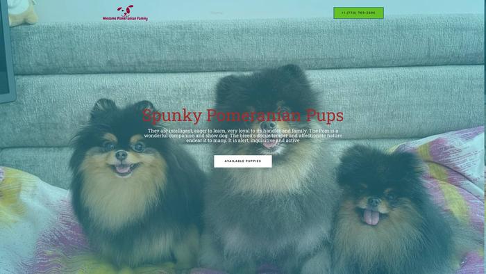 Winsomepomeranianfamily.com - Pomeranian Puppy Scam Review