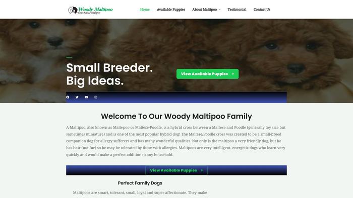 Woodymaltipoopuppies.com - Maltipoo Puppy Scam Review