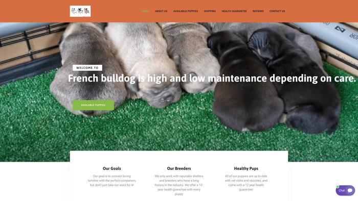 Worldremitfrenchbulldog.xyz - French Bulldog Puppy Scam Review